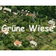 Gartenverein "Grüne Wiese e.V" 