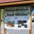 Kleingartenanlage "Stadt Wehlen" e.V.