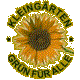 Kleingärtnerverein Am Ringberg e.V.