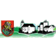 Verband der Kleingärtner Schwarzenberg e.V.