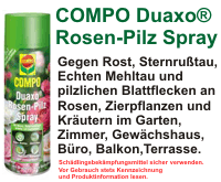 Um mehr zu Duaxo Rosen Pilz-frei für den Kleingarten und in der Laube zu erfahren, hier anklicken.