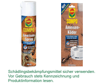 Um mehr zu Ameisenspray u. Ameisenköder zu erfahren, hier anklicken.