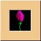 blume02_ani.gif