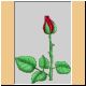 blume41_ani.gif