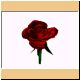 blume42_ani.gif