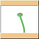 blume44_ani.gif