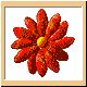 blume46_ani.gif