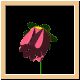 blume47_ani.gif