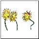 blume48_ani.gif