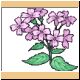 blume53_ani.gif