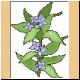 blume54_ani.gif