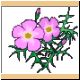 blume56_ani.gif