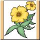 blume57_ani.gif