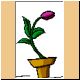 blume58_ani.gif