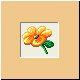 blume59_ani.gif