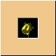 blume60_ani.gif