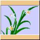 blume64_ani.gif