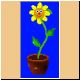 blume67_ani.gif