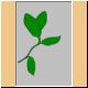 blume68_ani.gif