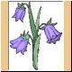blume69_ani.gif