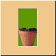 blume70_ani.gif