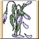 blume73_ani.gif