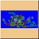blume76_ani.gif