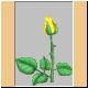 blume78_ani.gif