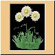 blume87_ani.gif