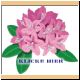 blume21_no.gif