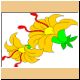 blume23_no.gif