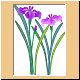 blume31_no.gif