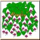 blume35_no.gif