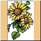 blume41_no.gif
