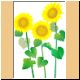 blume49_no.gif
