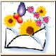blume50_no.gif
