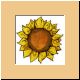 blume55_no.jpg
