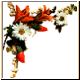 blume65_no.gif