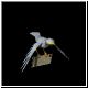 mail73_ani.gif