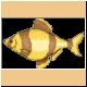 fische09_ani.gif