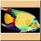 fische13_ani.gif