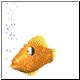 fische16_ani.gif