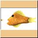 fische18_ani.gif