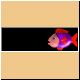 fische43_ani.gif