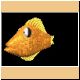 fische49_ani.gif
