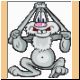 hase49_ani.gif