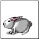 hase77_ani.gif