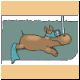 hippo11_ani.gif
