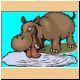 hippo13_ani.gif