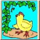 huhn06_ani.gif